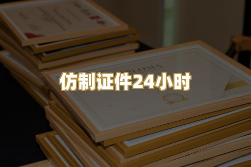仿制证件24小时